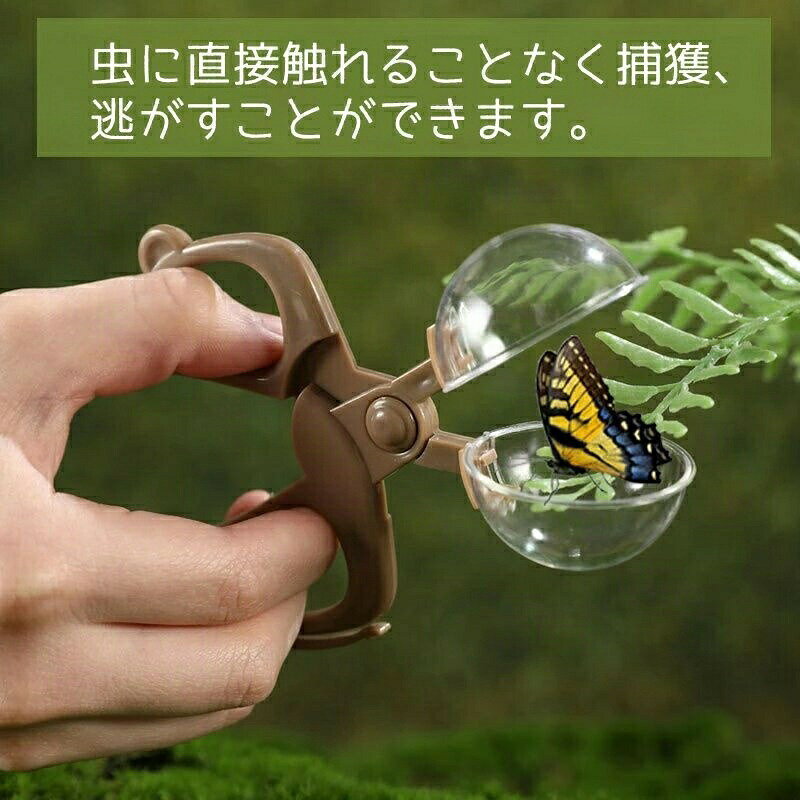 サマー楽天市場店の虫取り網 伸縮式 虫籠付き 軽量 虫取りあみ セット 鑷子 ルーペ 虫取りハサミ キャッチャー 自由研究 男の子 女の子 昆虫採集セット 川遊び 子供 アウトドア 夏休み 夏｜アングル3