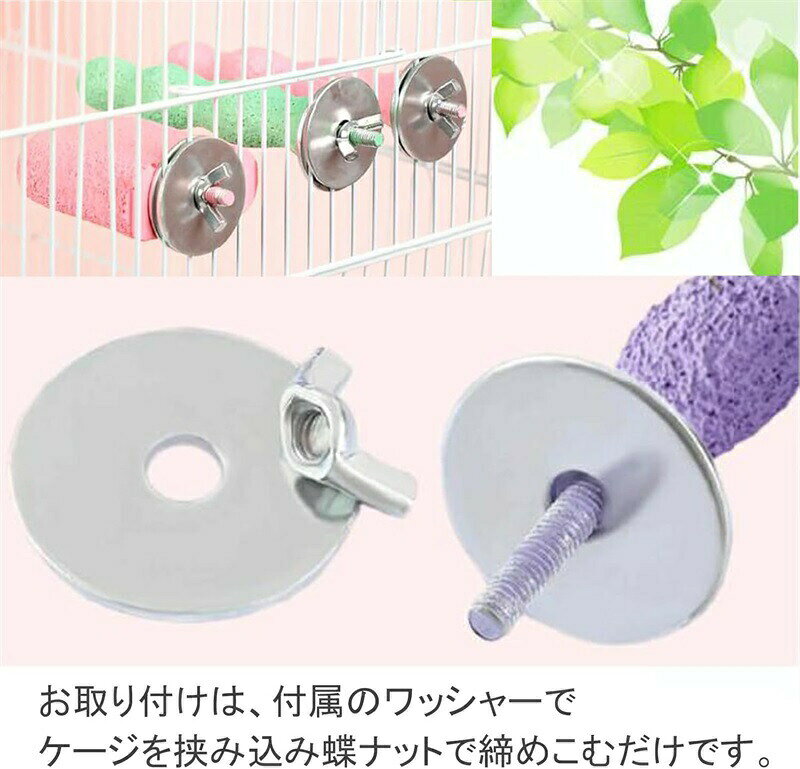 サマー楽天市場店の3個 4個セット インコ 止まり木 爪研ぎ ステップ パーチ やすり ケージ 鳥 くちばし棒 鳥用爪とぎ棒 オウムの立ち棒 すり棒 ねじ止め鳥棒 鳥かごパーツ か ハムスター リスの口とぎ棒｜アングル3
