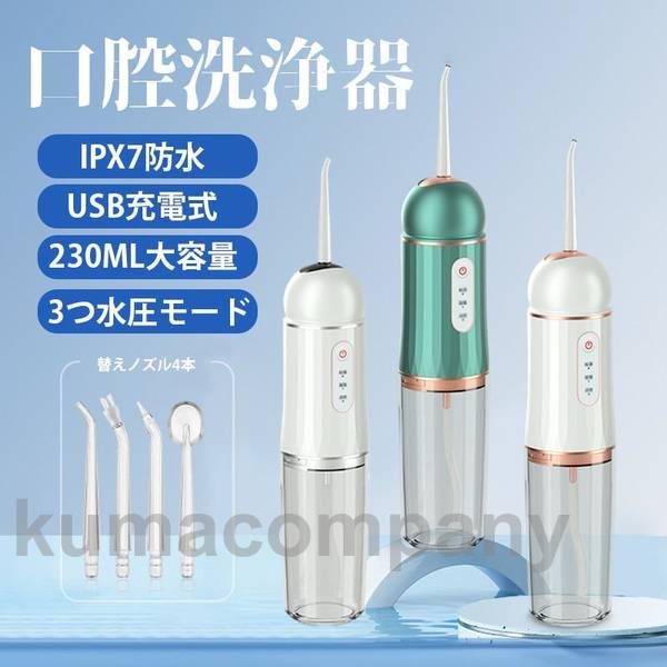 口腔洗浄器 USB充電式 歯磨き 歯間洗浄機 口臭防止 高圧洗浄 歯石取り 携帯型 口腔...