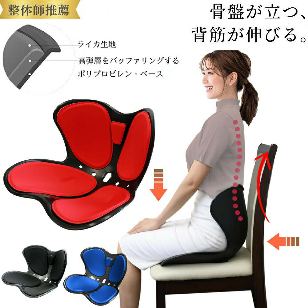 楽天市場】骨盤矯正 クッション styleの通販