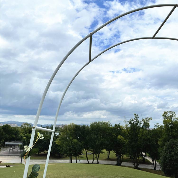 ばら バラアーチ ガーデンアーチ 家庭菜園 支柱 薔薇 簡単 園芸支柱 diy バラ 菜園...