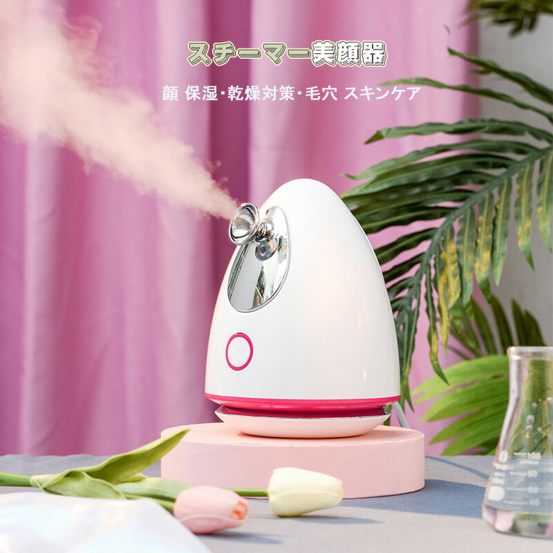 加湿器 秋冬向け フェイス スチーマー 水分補給 スチーマー美顔器 ナノケア保湿 卓...