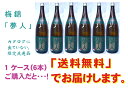 梅錦「夢人」1ケース(6本）は地域限定送料無料！（四国・九州・関東以西）※北海道・沖縄・東北・一部離島につきましては別途送料ご負担いただきます。