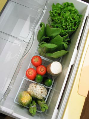 ［えつこの野菜キーパー 36個］ケース販売 業務用 収納 冷蔵庫内 野菜 野菜室 ホワイト 日本製