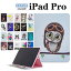 iPad Pro 11  2奫С Ģ 2020ǯȯ iPad ProС ݸС 2020ǯȯ iPad Pro 11     Ĥɻ 2 iPad Pro  ץ Ģ 2020ǯȯ iPad Pro  İ