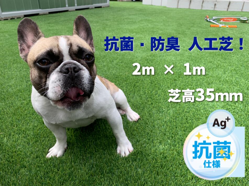 ドッグランに! 芝丈35mm 超高密度 人工芝 リアル2m×1m 高密度45万本/m2 高耐久 ロール 人工芝ロール 人工芝生 人工芝 ドッグラン DIY ガーデン 屋上 リアル 1m 芝生 35mm 芝 おしゃれ