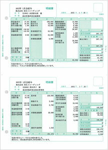 弥生 336001G 給与明細書(グリーン) (336001G)