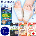 足裏シート 樹液シート 足 むくみ 解消 睡眠時 冷感 ひんやり 暑さ 夏 足 冷え性 対策 グッズ 【 足裏 樹液シート2枚入り】 浮腫み スッキリ おやすみ...