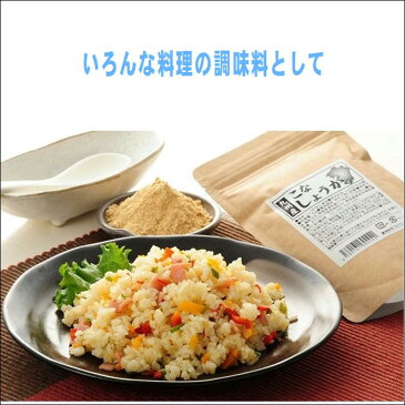 九州産 こなしょうが 60g【お買い得な10袋組】 薬味 お料理 味付 生姜 ジンジャーティー 乾燥 粉末 飲用 調味料 国産 日本製 送料無料！