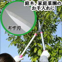 剪定 ハサミ 鋏 はさみ 花鋏 刈り込み【ギザ刃でラクラク!刈込ハサミ】アルミパイプ 軽量 サビにくい 枝切り 枝きりバサミ 直径 約15ミリ 剪定可能 花 庭...