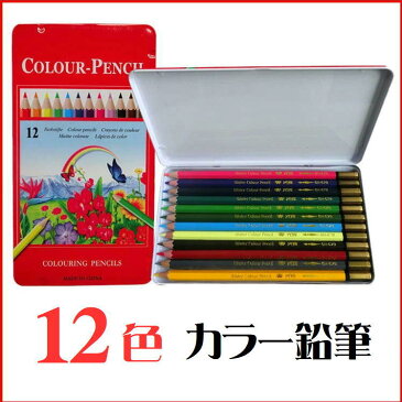 色鉛筆 ぬりえ 塗絵 塗り絵用 カラフル 鉛筆 大人 子供 自分 創る 大人気 話題 繊細 線図 豊富 バリエーション お楽しみ 色を塗る 描く 楽しい 自律神経 認知症 予防 効果 文房具 お絵かきセット 知育玩具 お絵描き アートセット 12色 誕生日