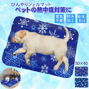 犬の暑さ対策グッズ室内用｜屋内の熱中症予防に！ひんやり涼しい便利グッズのおすすめは？