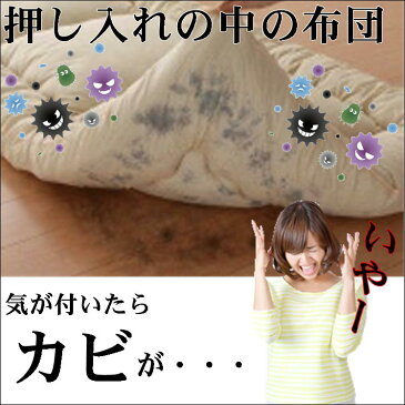 消臭 除湿 シート ダニ カビ 臭い 湿気 対策 便利 グッズ【押入れ用 2枚 強力消臭&除湿シート】押し入れ 洋服ダンス 下駄箱 吸湿 放湿 b型 シリカゲル 69×45 衣類 服 洋服 布団 靴 バッグ かび におい 予防 乾燥剤 除湿剤 繰り返し使える センサー付 日本製 送料無料