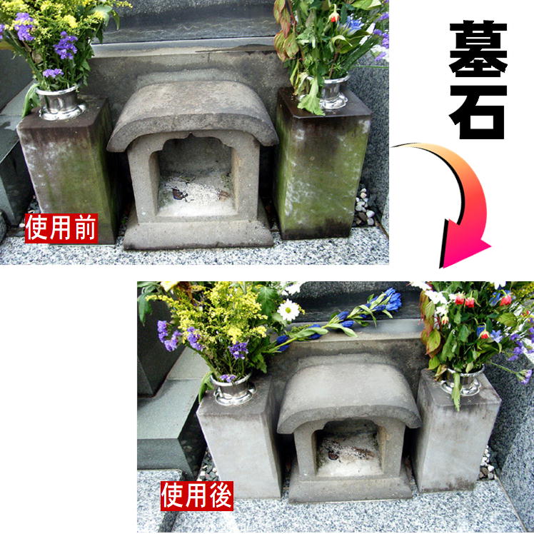 コケ取りカビ取りコケカビ取り【420mlx2本組】コケカビ掃除除去防止スプレーこけかび苔コケ取りカビ取り外壁墓石ベランダ門柱玄関ブロック塀コンクリート黒ずみそうじ防錆剤掃除用品トーヤク屋外用こけ掃除カビ掃除日本製送料無料