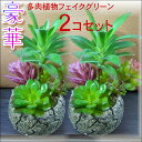 ミニ観葉植物 人工観葉植物 フェイクグリーン【2個組 寄せ植え】観葉植物 造花 インテリア おしゃれ 開店 開業祝い 寄せ植え 観葉植物 多肉植物 フェイク 寄せ植え鉢 インテリア ミニ観葉 玄関 デスク かわいい 北欧 雑貨 インテリアグッズ