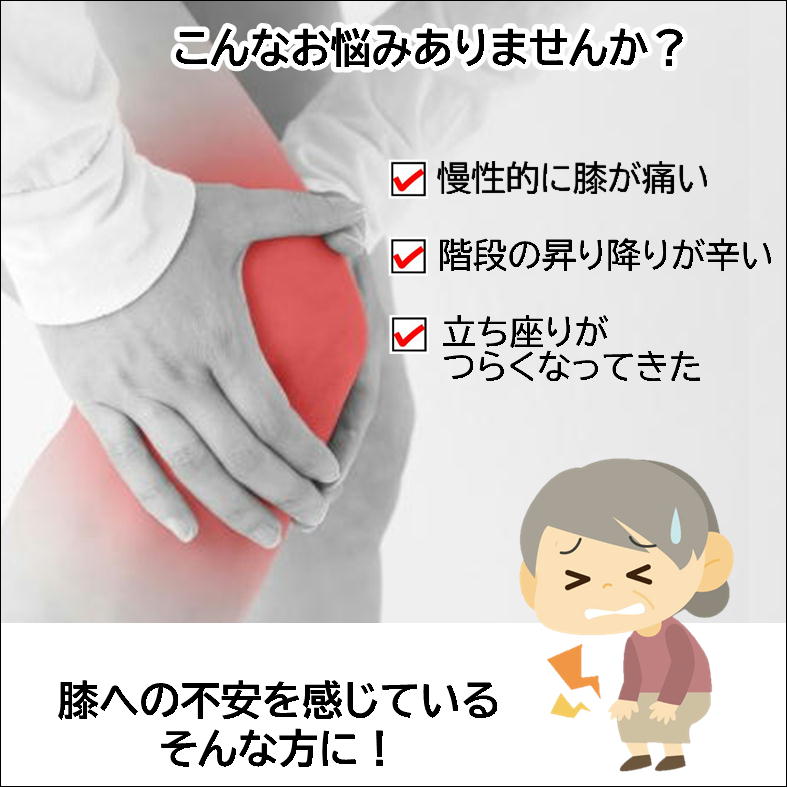 ひざ サポーター 膝 包み込む 曲げ伸ばし スムーズ 高齢者 階段 昇り降り 歩行 サポート 便利 グッズ【らく〜だ! サポーター ひざ用】y字 テーピング 機能 ひざ皿 ひざ下 保護 固定 ひざ関節 安定 ズレにくい スポーツ 運動 膝用サポーター 健康 グッズ 日本製 　 即納