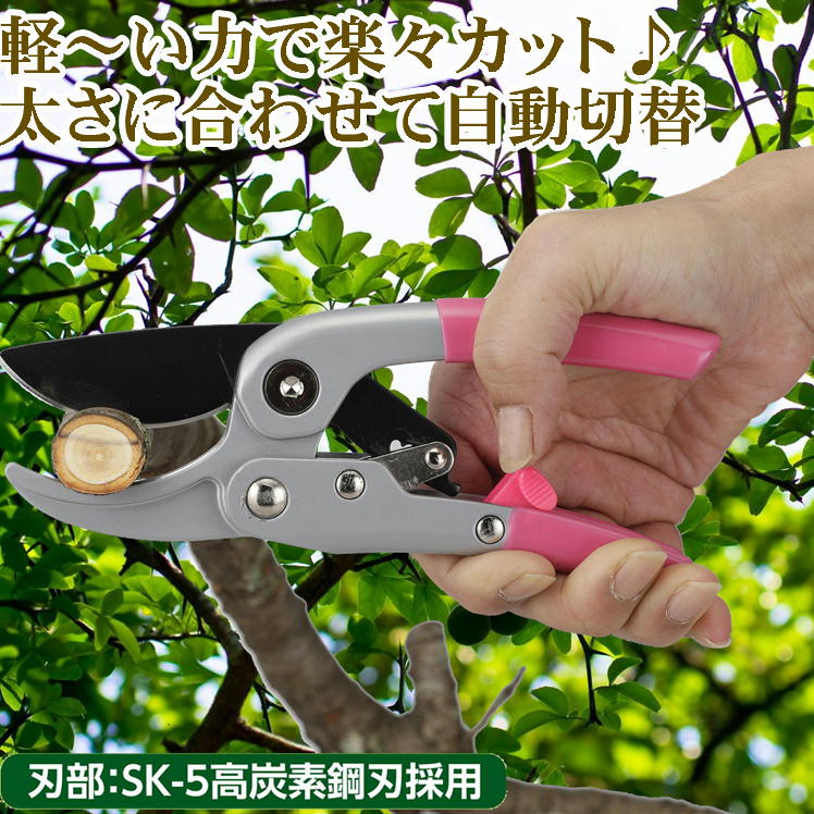 剪定バサミ 農業 農作業 畑仕事 DIY ガーデニング 刈込 ハサミ 剪定はさみ 花 枝切 バサミ 鋏 切れ味抜群 園芸 ばさみ はさみ 4段ラチェット式 スムーズ 剪定ハサミ 庭 大掃除 便利 グッズ フラワーアレンジメント リース 門松作り ワークショップ 生活 応援 アイテム