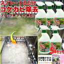 カビ取り コケ取り スプレー【420ml x5本組】ベランダ 壁 掃除 外壁 こけ かび 除去 墓石 黒ずみ 対策 大掃除 便利 グッズ 梅雨 長雨 ジメジメ ...