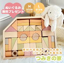 【P20倍!】 ╲ぬいぐるみプレゼント!/ エドインター パステルカラー 積み木 M L 木の玩具 知育玩具 子供 キッズ 赤ちゃん ベビー おもちゃ ギフト 出産祝い 男の子 女の子 ベビーギフト クリスマス 誕生日 プレゼント 1歳 2歳 3歳 4歳