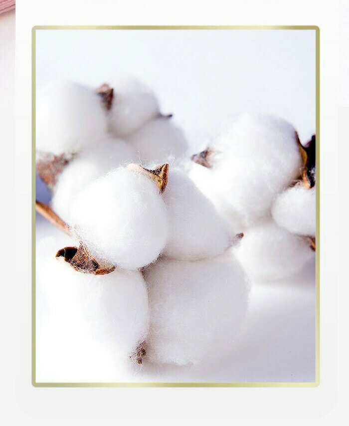 マタニティブラ前開き 授乳ブラ 妊婦用ブラジャー ノンワイヤー 垂れ防止 大きいサイズ 延長ホック付き 可愛い 前開きブラ 授乳 サイズ調整可能 着脱簡単 産前産後兼用 下着 しっかりホールド ナイトブラ