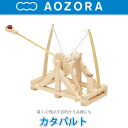  (AOZORA) _EB` da Vinci ؐH J^pg catapult