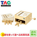 モンテッソーリ　かえるパズル　♪スケルトン♪ Montessori Frog Puzzle 知育玩具