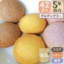 5年保存 ライスクッキー バラエティセット 42袋入り ココア かぼちゃ 紫芋 岐阜県産ハツシモ米使用 お米からつくったやさしいおやつ グルテンフリー タイガーナッツ 非常食 保存食 備蓄 被災 避難 GDX4074