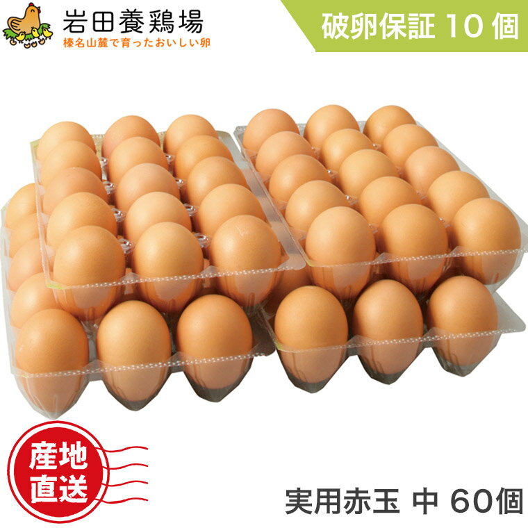 卵 産直 実用赤玉中 60個入り 破卵保証10個含む 岩田養鶏場 岩田のおいしい卵 産直 卵 鶏卵 生卵 高級卵 新鮮 健康 榛東村 榛名 国産 もみじ 臭くない 卵かけご飯 TKG 自宅用 贈答用 手土産 ギフト お取り寄せ
