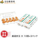 卵 産直 厳選赤玉大 30個入り(10個×3パック) 岩田養鶏場 岩田のおいしい卵 産直 卵 鶏卵 生卵 高級卵 新鮮 健康 榛東村 榛名 国産 もみじ 臭くな...
