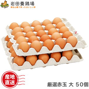 卵 産直 厳選赤玉大 50個入り 岩田養鶏場 岩田のおいしい卵 産直 卵 鶏卵 生卵 高級卵 新鮮 健康 榛東村 榛名 国産 もみじ 臭くない 卵かけご飯 TKG 自宅用 贈答用 手土産 ギフト お取り寄せ