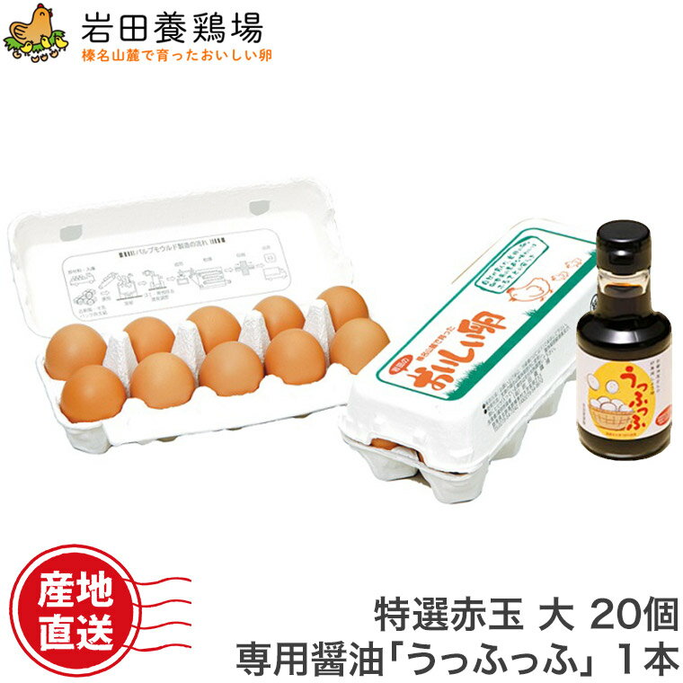 卵 産直 厳選赤玉大 20個入り(10個2パック) 卵かけこだわりセット TKG 卵かけご飯 醤油 うっふっふ 岩田養鶏場 岩田のおいしい卵 産直 卵 鶏卵 生卵 高級卵 新鮮 健康 榛東村 榛名 有田屋 安中 国産 もみじ 臭くない 自宅用