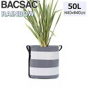 v^[  BACSAC obNTbN RAINBOW |bg 50L BC-1904  K[fjO GVJ TCNf tX Ki 