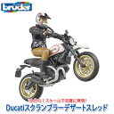 bruder u[_[ vV[Y DucatiXNu[fU[gXbh BR63051  mߋ ߋ m ͂炭   ~j j̎q ̎q N} 1 2 3 4 5 6 w av[g OV 蕨   d@