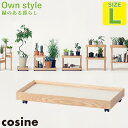 【プレゼント付】 コサイン cosine プラントムーバー L GP-02CT 旭川家具 観葉植物 キャスター付き 送料無料