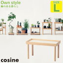【プレゼント付】 コサイン cosine プラントラック L GP-05CT 旭川家具 観葉植物 棚 送料無料