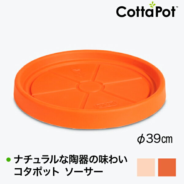 Cottapot コタポット ソーサー 8005 CT-8005