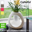 Cottapot Zoie R^|bg v^[ ][C 72cm CT-8885A