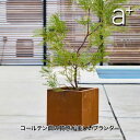 a+ design (エープラスデザイン) コールテン鋼 Patina(パティナ)シリーズ スクエアプランター W300 AHL-CP0303PR プランター ...
