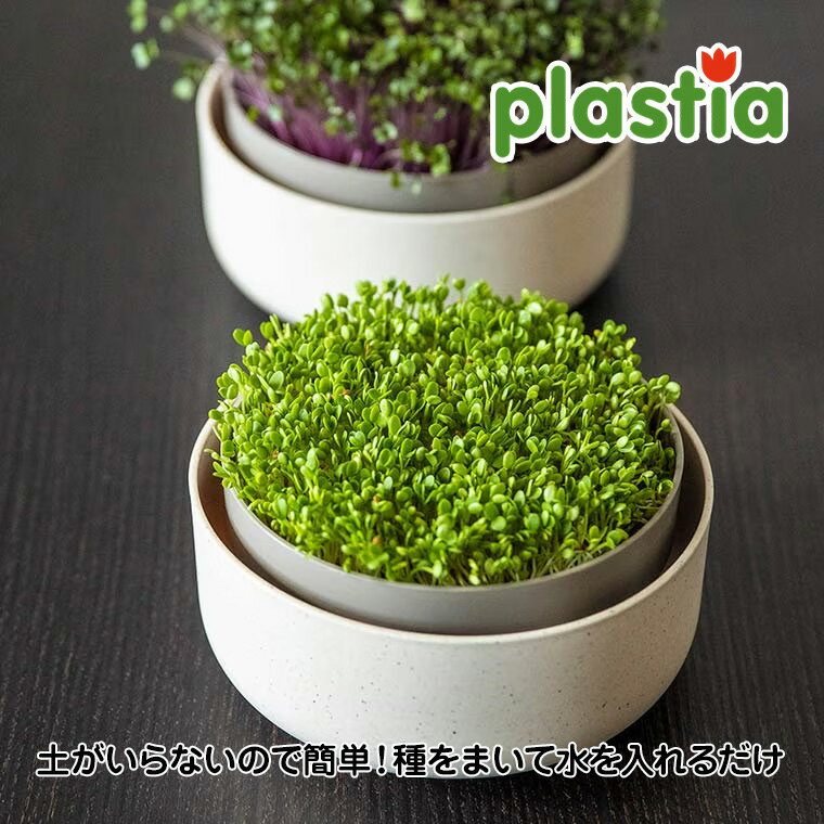 樂天商城 - 【エントリーで最大100%バック】 Plastia (プラスティア) ホームスプラウター キッチン菜園キット P6711640 家庭菜園 スプラウト 新芽 若芽 台所 発芽野菜 かいわれ 豆苗