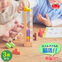【レビュー特典あり】 パズル エドインター ジェニ GENI 知の贈り物シリーズ 育脳タワー 4941746812327 知育玩具 知育 パズル おもちゃ 知育パズル 一歳 1歳 一歳 1歳半 2歳 3歳 4歳 5歳 幼児 木のパズル 木製パズル 子供(3)