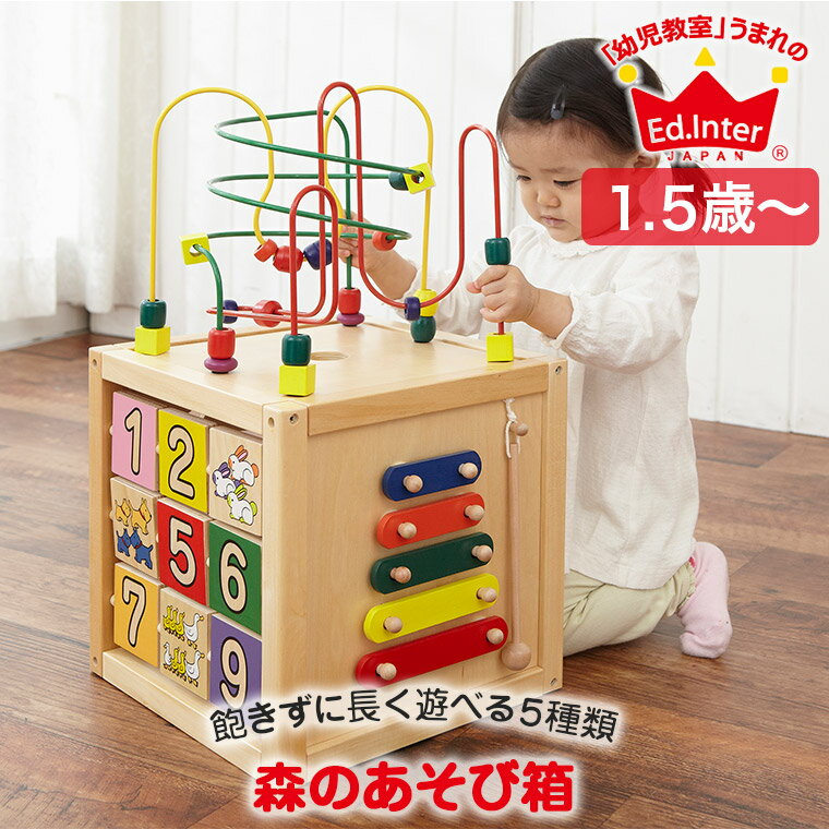  エドインター ジェニ GENI 森のあそび箱 4941746806487 知育玩具 おもちゃ 知育 木製 0歳 1歳 1歳半 2歳 一歳 誕生日 プレゼント 男の子 女の子 型はめ 出産祝い モンテッソーリ