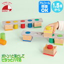 【レビュー特典あり】エドインター ジェニ Feel-Good Cubes Poton ポトン 4941746827697 おもちゃ 知育玩具 積み木 知育 積木...