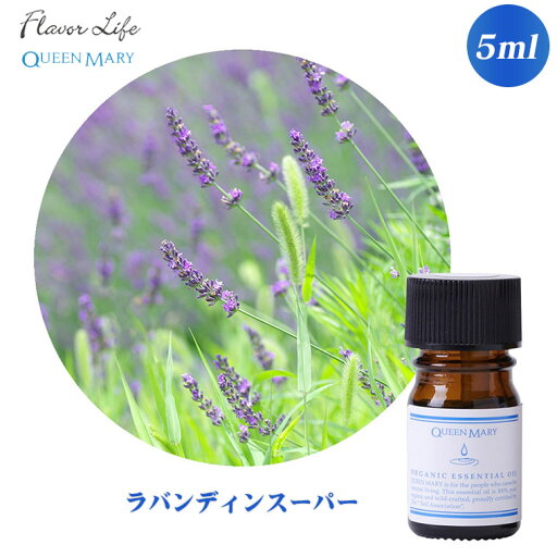 フレーバーライフ Flavor Life クイーンメリー オーガニック精油 ラバンディンスーパー 5mL 667 アロマオイル エッセンシャルオイル オーガニック フレーバーライフ Flavor Life クイーンメリー オーガニック精油 ラバンディンスーパー 5mL 667 アロマオイル エッセンシャルオイル オーガニック