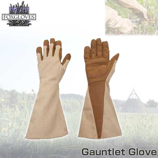 旧商品 フォックスグローブ FOXGLOVES Gauntlet Glove ガウントレットグローブ GauntletGlove-S GauntletGlove-M GauntletGlove-L