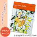 カタログギフト レモンバーム ミストラル 内祝い 出産内祝い 快気祝い お返し 結婚内祝い 香典返し 501M060 バリエーションに富んだ、魅力的な品揃えと選ぶ楽しさを重視したカタログ ライフスタイルを彩るとっておきのギフトが揃います。 お世話になっている人だから、気に入っていただける商品を選んでほしいですね。 贈り先様やご予算に合わせて、9種類のラインナップからお選びいただけます。 掲載商品は変更になる事がございますので、ご了承ください。 【ラッピングとご使用日について】 ※ご注文の際は、ご使用日を備考欄にご記載ください。 ※ラッピング・熨斗は無料です。ご注文画面でラッピングを選択されますと、システム上、ラッピング費用が計算されてしまいますのでご選択なさらぬ様、ご注意ください。 ※熨斗、ラッピングをご希望の場合には、発送まで1週間程お時間を頂いておりま す。恐れ入りますが、期間には余裕をもってご注文下さいませ。 ※熨斗をご希望の方は、熨斗の種類・入れる文字を、備考欄にご記載ください。 例）熨斗：【上段】内祝・寿・快気祝など/【下段】お名前(※連名・ふりがなも可能) ■ページ数：392ページ ■掲載点数：約830点 ■箱サイズ：約縦23×横19.5×厚2.3cm 関連ワード：ギフトカタログ/引出物/新築祝い/法事/香典返し/カタログギフト ページ数 : 392ページ 掲載点数 : 約830点 箱サイズ : 約縦23×横19.5×厚2.3cm 【ラッピングとご使用日について】 ※ご注文の際は、ご使用日を備考欄にご記載ください。 ※ラッピング・熨斗は無料です。ご注文画面でラッピングを選択されますと、システム上、ラッピング費用が計算されてしまいますのでご選択なさらぬ様、ご注意ください。 ※熨斗をご希望の方は、熨斗の種類・入れる文字を、備考欄にご記載ください。 例）熨斗：【上段】内祝・寿・快気祝など/【下段】お名前(※連名・ふりがなも可能)