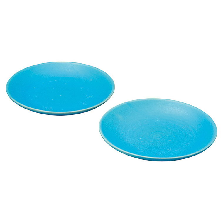 信楽焼 Toruco 丸皿ペア ギフト 贈り物 内祝い ギフト プレゼント お返し お歳暮 お中元 V06703