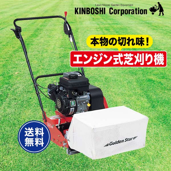 楽天市場】グリーンモアの通販 楽天市場】グリーンモアの通販