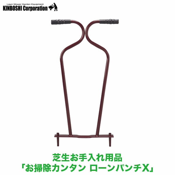 キンボシ ローンパンチX 4005 (芝のメンテナンス) 送料無料