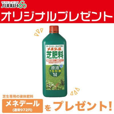 手動芝刈り機キンボシナイスイーグルモアーGFE-2500N《プレゼント付》送料無料(芝刈機芝)【あす楽対応】