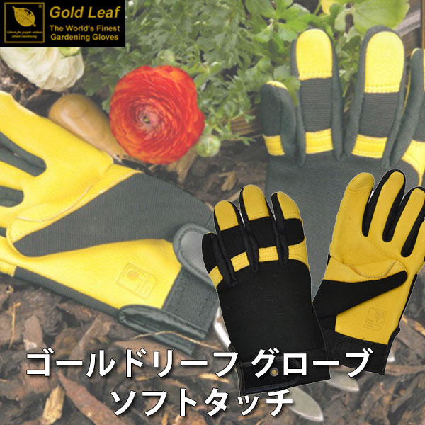 旧商品 ゴールドリーフ Gold Leaf グローブ Soft Touch ソフトタッチ SoftTouch-M SoftTouch-L